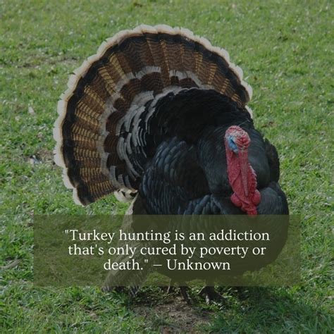 51 Of The Best Hunting Quotes Of All Time To Inspire You .